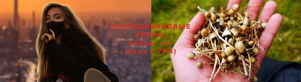 соль ск Заводоуковск