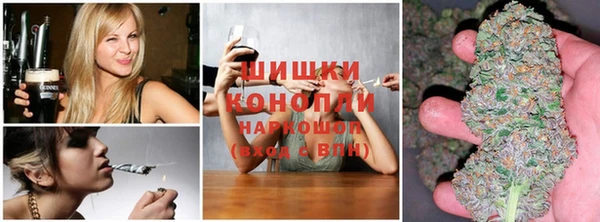 соль ск Заводоуковск